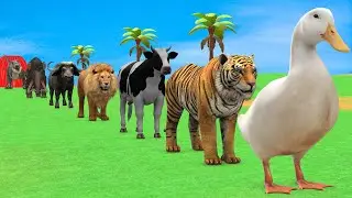 Long Slide Game with Cow Elephant Gorilla Hippopotamus Tiger 3d Animal Game Funny 3d Animals