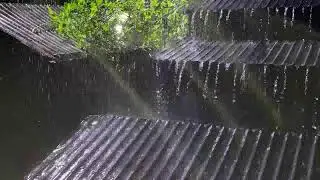 Powerful Shingle Rain on Old Tin Roof | Ultimate Sleep Instantly & Heavy Rain Sounds
