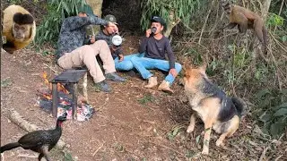 Abrigo de sobreviv&ecirc;ncia na floresta e observando os animais #camping #bushcraft #survival #food 
