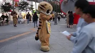 JHKTV] 신촌명물고양이간식쪼금  shinchon special cat Snacking allowance Alaska Sky(song)