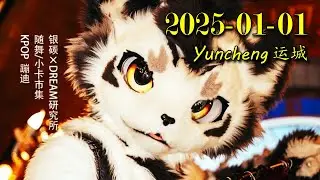 【Fursuit Dance】 银碳Gintan - Random Dance in Yuncheng 2025-01-01 (Full cut)
