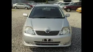 RUNX ZZE123-0009352