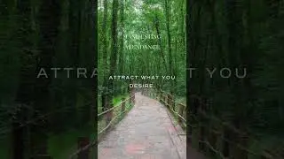 【Spiritual 11/12】🎵Starlight Revelation🎵 | 852Hz Third Eye Opening, Higher Self Connection