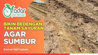 Cara Membuat Bedengan Menanam Sayuran
