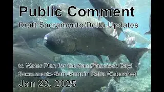Golden State Salmon - Role of Government Jan 23, 2025