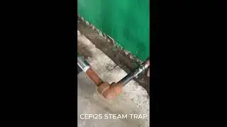 CEFI 25 STEAM TRAP