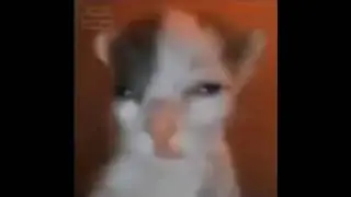 a me doxean