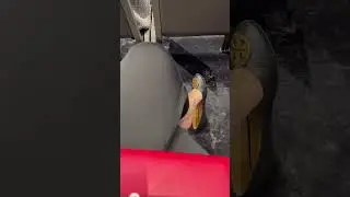 Игра с обувью на публике - Свисание - Покачивание пальцами ног - Ступни - Туфли на плоской подошве