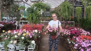 A stroll through the flower shop