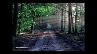 Backsound Alam Relaxing||( No copyright)#alam #backsound #relaxing #membumi #musik