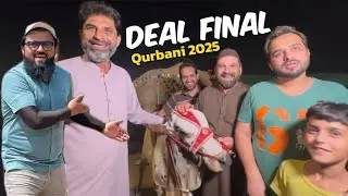 Deal Final | Soda Kitne Ka bana | qurbani 2025 | desi bachre | Lahore Cow Mandi Shapur kanjra