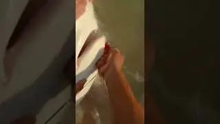 Shark unhooking 🪝 #trending #fishing #sharkfishing