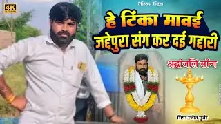 हरे चमकतो तारो टूट गयो/Ranjeet Gurjar/मेरा टिंका टाईगर यार सितारों केसे रूठ गयो/Bohare Music/Miss U😭