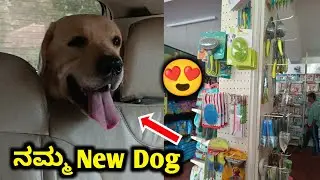 My New Dog | mini Vlog | Dog | Pet care kannada