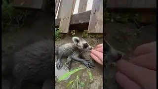 I wish I come little earlier