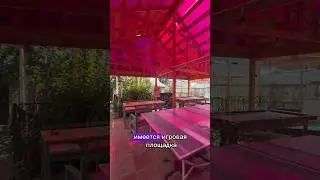 Телефон для связи: +79656991000 или телеграм @nikitadobrinich