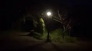 神奈川心霊観光　三ツ池公園