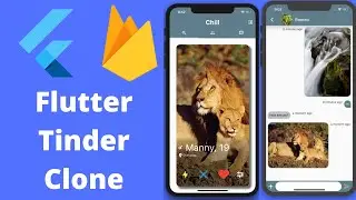 Build Flutter Tinder Clone with Firebase & BLoC  #11/41  SignUp Form