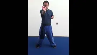 Sil Lim Tau