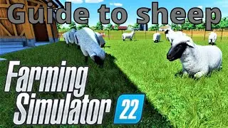 Guide to Sheep - Farming Simulator 22