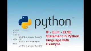 #4 Python Tutorial For Beginners | How to Use If Else Statements in Python Programming!