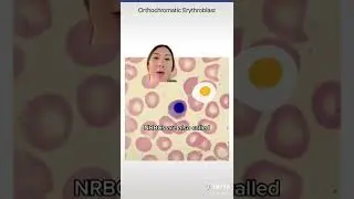 Nucleated Red Blood Cells