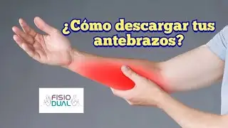 ¿CÓMO DESCARGAR TUS ANTEBRAZOS?