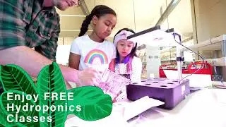 Learn About Hydroponics at the Library District
