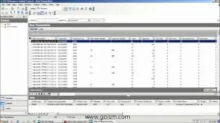 Sage MAS 90 ERP: Business Insights Explorer Tips & Tricks Part 2