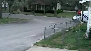 The Gem Caught by Security Cameras