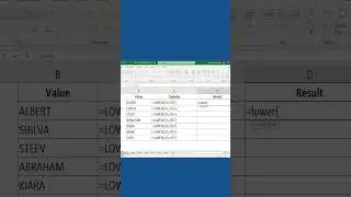 #everydayexcel How to convert Upper Case into Lower Case