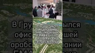 В Грузии открылся офис крупнейшей арабской компании EMAAR Group, которая вложит в страну $6,6 млрд