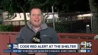 Overcrowded Maricopa County animal shelter issues 'Code Red' alert