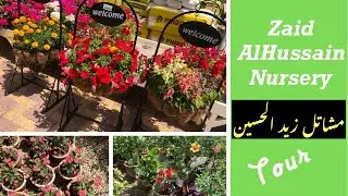 Zaid Alhussain nursery tour / Nurseries in Dammam Saihat Khobar / Nursery on Dammam jubail Highway