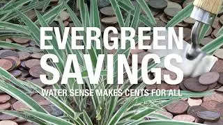 Water sense makes cents for all | SAWS