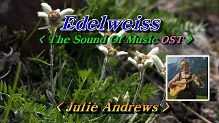 Edelweiss(에델바이스) - Julie Andrews(쥴리앤드류스) - The Sound Of Music Ost