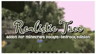 realistic tree addon review🌳 | minecraft pocket/bedrock edition 1.20