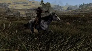 Vale of the Silverhoof Horseman - Skyrim Anniversary Edition Build