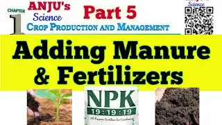 Adding Manure and Fertilizers // Crop Production and Management // Class 8 Chapter 1 #Anjus_Science