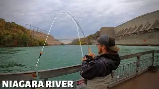 Catching KING SALMON and STEELHEAD from SHORE
