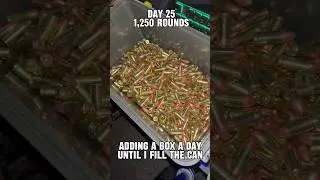 Ammo Can Fill ASMR PT.25 #ammo #shooting #pistol #gunculture #training #shorts #feedshorts #edc