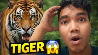 Sariska Jungle Vlog Part 2 🐯 | Reality of Jungle Safari 😱