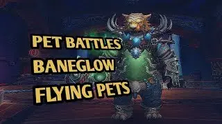 How to beat Baneglow with Flying pets - world of warcraft