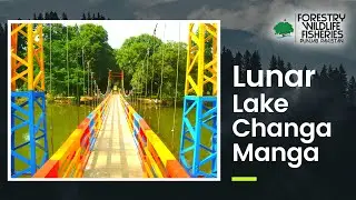 Lunar Lake Changa Manga | Changa Manga Forest | Changa Manga Tour