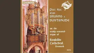 Chorale Fantasia on Nun komm der Heiden Heiland: II. Section I