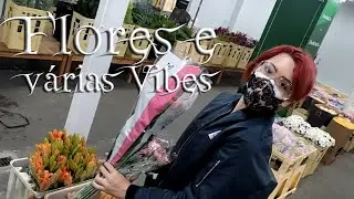 Vlogs #1 - Flores e Vibes