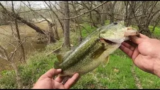 Cibolo Creek Fishing