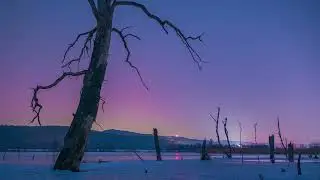 Winter Lake &ndash; Quiet Observation