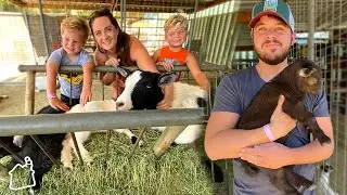 ADOPTING THE CUTEST FARM ANIMALS!!