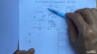 Metallurgy. Solidification of Hypoeutectic Cast Iron